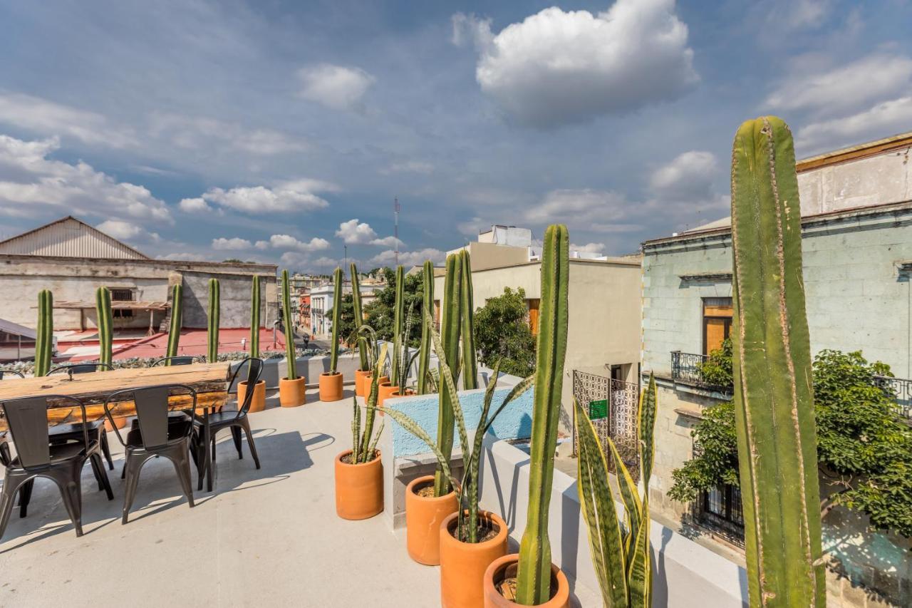 Casa Olie Hotel Oaxaca Bagian luar foto